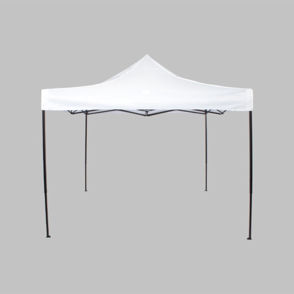 P31-06 Techo toldo araña 2X2