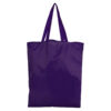 R31-25-2 Bolsa de compras plegable en tela RPET