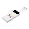 Power Bank multipuerto "MICHIGAN"