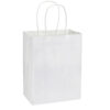 e100-02 Bolsa de Papel 120g/m2