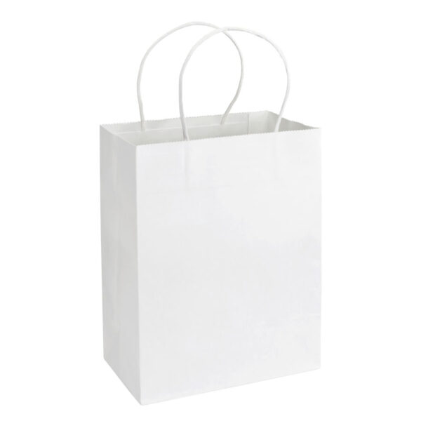 e102-02 Bolsa de Papel 120g/m2