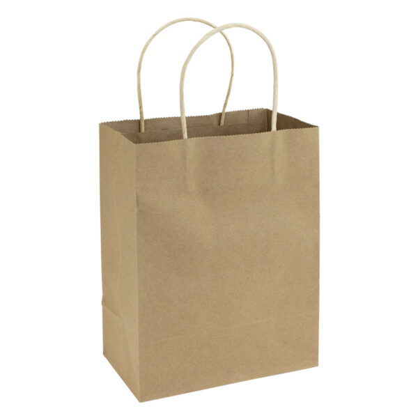 e102-04 Bolsa de Papel 120g/m2