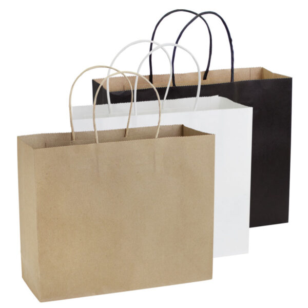 e103-01 Bolsa de Papel 120g/m2