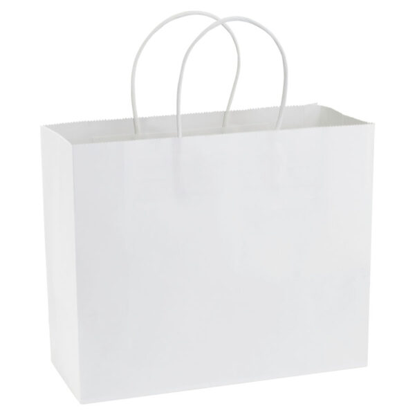 e103-02 Bolsa de Papel 120g/m2