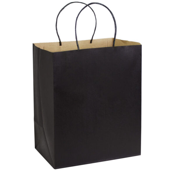 e104-03 Bolsa de Papel 120g/m2