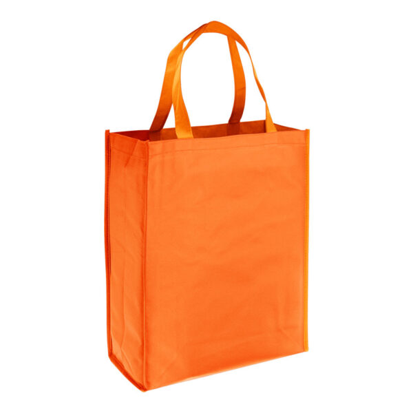 e45-10 Bolsa Reutilizable Shopper