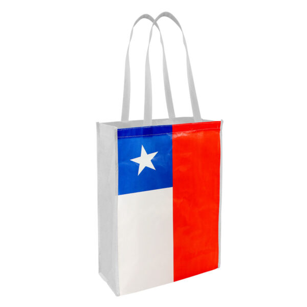e55-01 Bolsa TNT Bandera Chilena Mediana